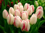 [Salvo Test 2006_0216Image0017.JPG]